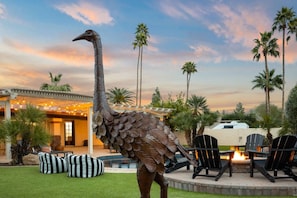 Meet our new feathered friend! Say hello to our Mr. Ostrich!