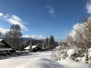 Ulkopuoli