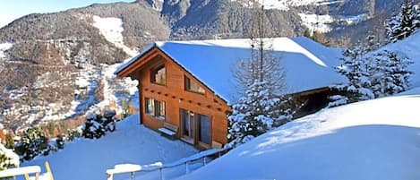 Chalet Alpina