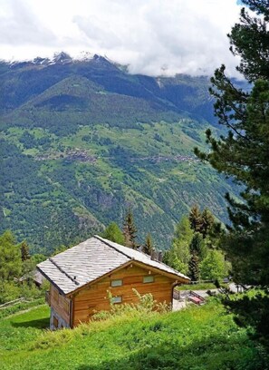 Chalet Perle des Collons