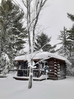Winter wonderland