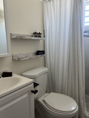 Shower bathroom with space for your stuff.