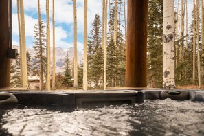 Hot tub with a view!