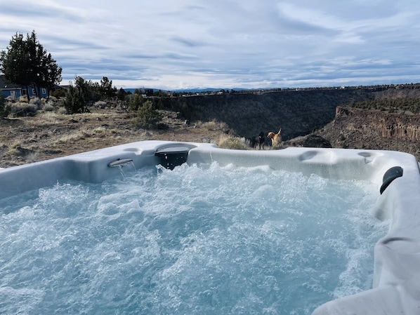 Huge estate home, 3000SF, deck + Jacuzzi overlooking Canyon. Watch the eagles!