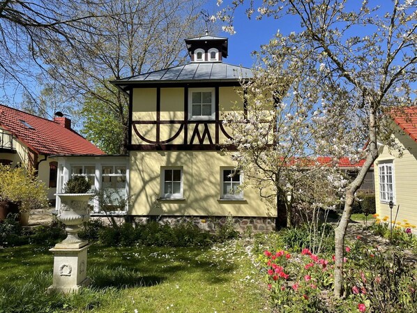Plant, Sky, Building, Window, Property, House, Tree, Rural Area, Cottage, Residential Area