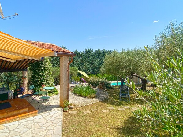 Garden [summer]