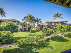 Hali'i Kai 20D view - Nestled in the serene Coconut Grove area of the Hali'i Kai resort