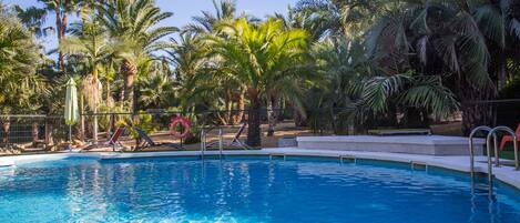 Piscina en el palmeral