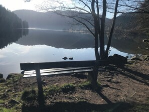 Övrigt