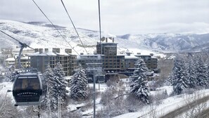 Sne- og skisport