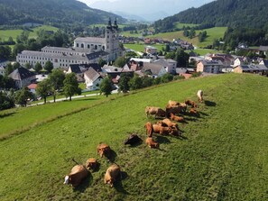 Vue aérienne
