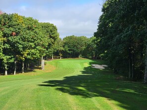 The house is directly on the golf course fairway.