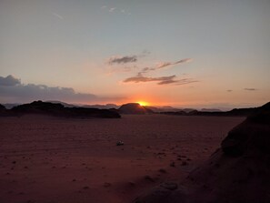 ビーチ