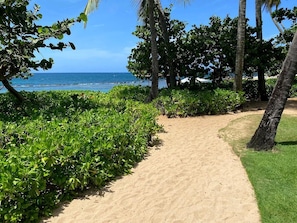 The path that leads to the beach within the property vicinity