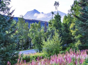 Front porch view