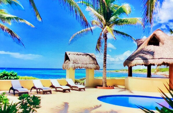 your new backyard!