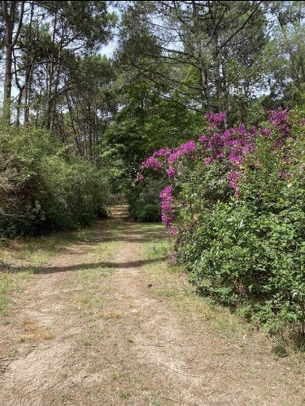 Boendeområde