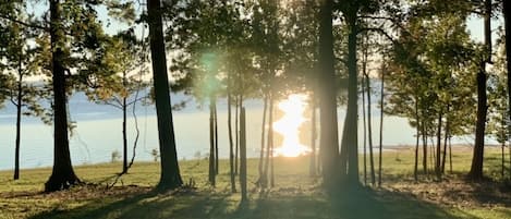 Overnatningsstedets område