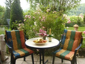 Appartement Talblick-Südterrasse mit direkten Zugang zum Garten und Liegewiese