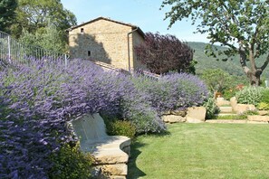 Building Exterior, Garden