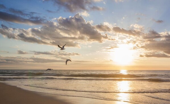 Strand