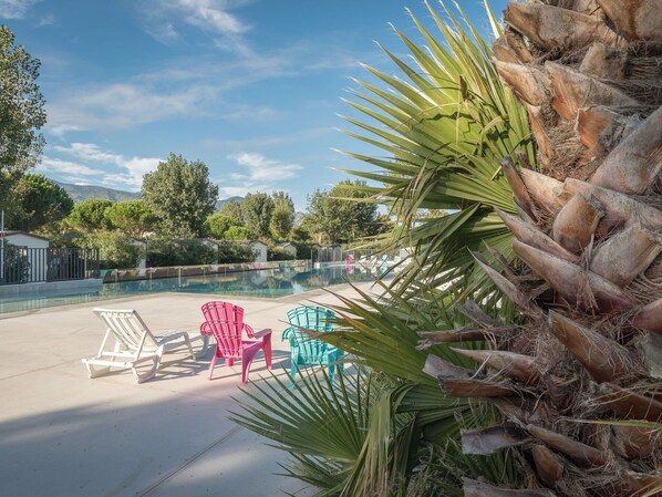 Plante, Ciel, Nuage, L'Eau, Piscine, Arbre, Botanique, Mobilier De Jardin, Arecales, Terrestre Des Plantes