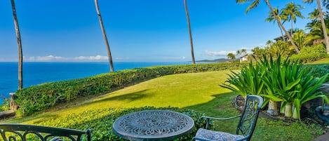 Poipu Makai #D1 - Oceanfront Lanai View - Parrish Kauai