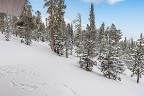 Deportes de invierno