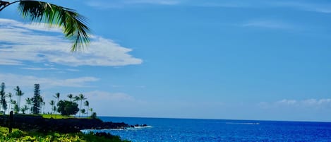 Welcome to Paradise! This is your lanai view!    