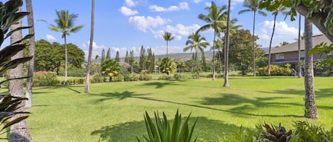 Golf course view from lanai 