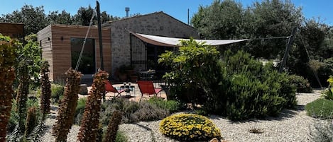 Der mediterrane Garten wird immer größer und schöner.