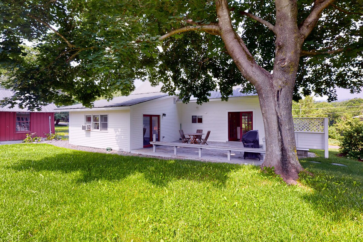 Main Image