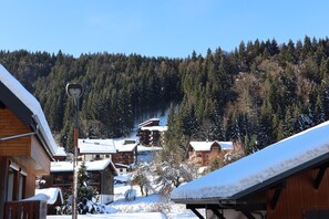 Vue des montagnes