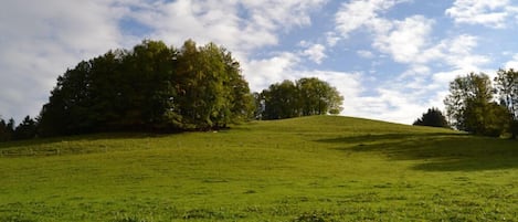 Fewo (100 qm), Balk., Küche, 2 Schlaf- und 1 Wohnzimmer, Kachelofen, WLAN, max 4 Pers.