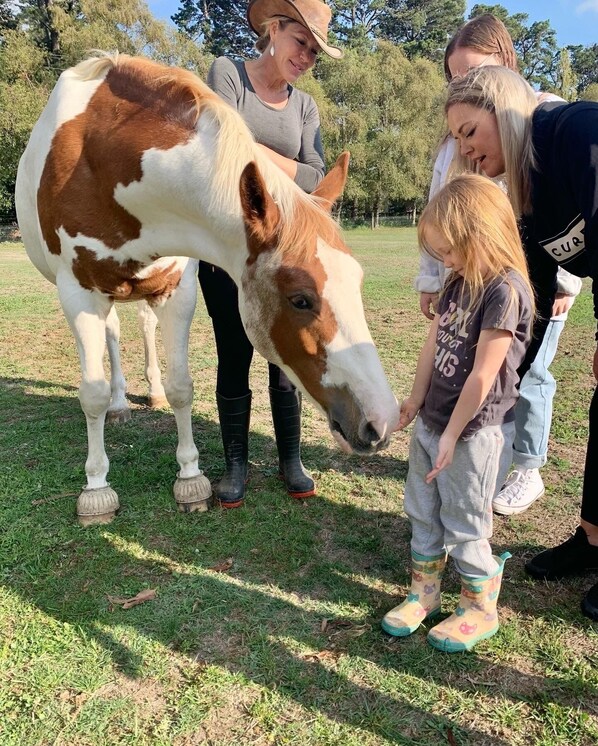 Meet our rescued animals on our famous farm tour!