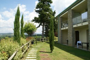 Garden [summer]