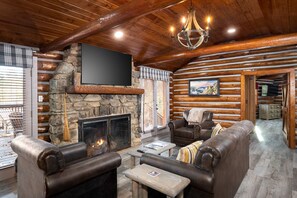 Living Area and fireplace