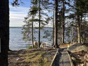 Path to ocean