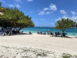 Beach Chairs for your use 
