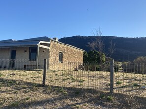 Farm Beach Cottage with Mount Dutton In the background. 