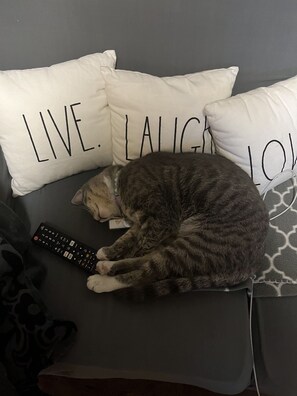 Pet-friendly