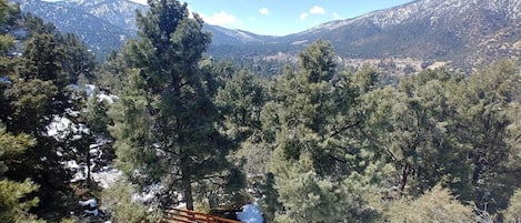 View from the deck