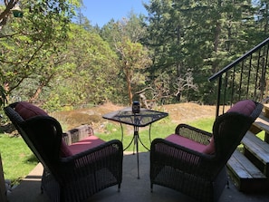 Patio overlooking the forest, a bird-watchers paradise