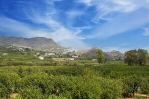 Terrain de l’hébergement 