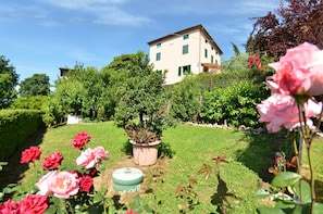 Fleur, Plante, Nuage, Ciel, Fenêtre, Vert, Botanique, La Nature, Bâtiment, Paysage Naturel