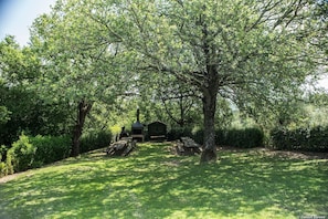 agriturismo-la-papessa-chianti-san-donato-farmhouse-tree