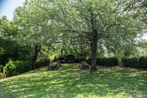 agriturismo-la-papessa-chianti-san-donato-farmhouse-tree