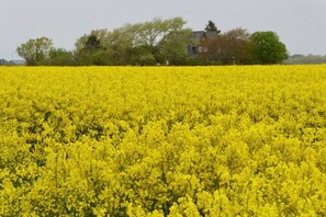 Weitsicht Feld