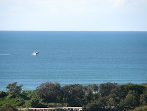 watch the whales from your verandah 