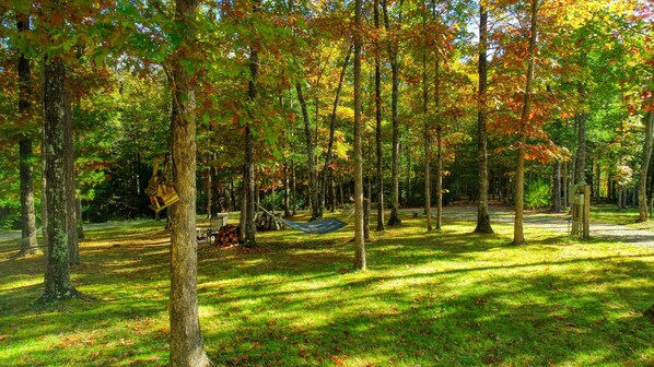 Picturesque lawn with fire pit and hammock